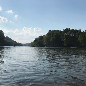 Meet your Posher, Rhonda